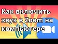 Как включить звук в Zoom на компьютере