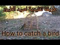 كيفية صنع فخ للطيور بطريقة سحرية how to make a bird trap