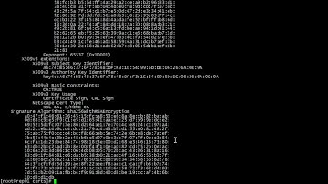 Создание доверенного CA и SAN сертификата с использованием OpenSSL
