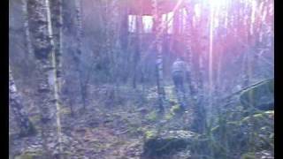 Team fsb Teaser Trailer