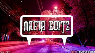 Senorita Remix DJ