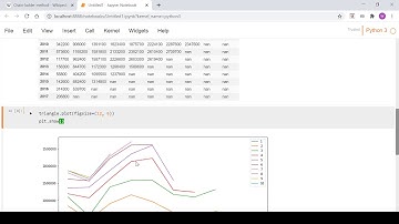 Video 1 - Python ChainLadder - Read Data and Visualize Triangle