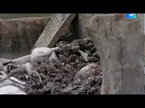 Dolmen found near the river