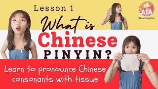 What is Chinese PINYIN ? Learn to pronounce Chinese consonants with Tissue ?!/Lesson 1 screenshot 5