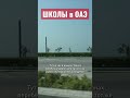 Жизнь в ОАЭ. Как живут наши экспаты в Дубае? Работа, учеба, переезд. Подробнее на канале #наПМЖ