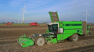 Extreme potato harvest 2019 | 2 Grimme Varitron 470 & AVR Puma+ | JD 7720, 7820, 7920