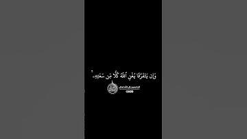ماهر المعيقلي - سورة النساء ( برواية حفص عن عاصم ) الأية 130