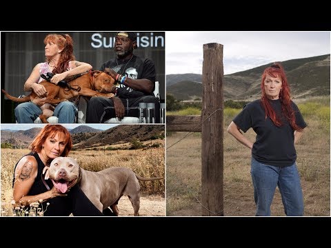 Video: ¿Se mudaron los pitbulls y las personas en libertad condicional?