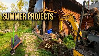 Summer Projects and a Pinch of GOLD!