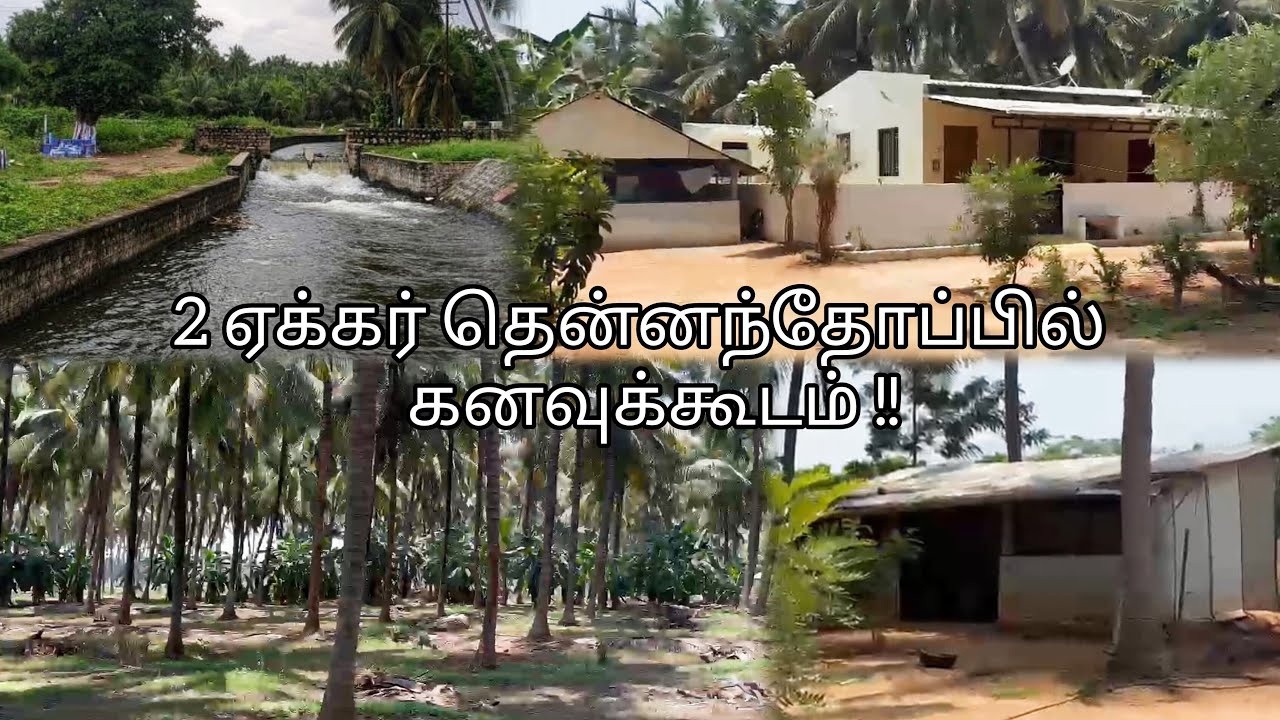 🌴2 ஏக்கர் தென்னந்தோப்பு🌴 பண்ணை வீடுடன் விற்பனைக்கு🤩|low budget🌱✨| 👉🏻contact no : 7502636683