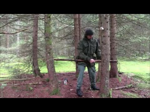 Überleben im Wald: