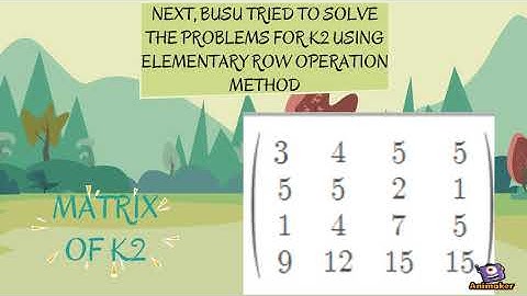 Maths Project (Matrices)