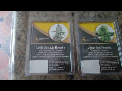 Order from Growers Choice seeds received