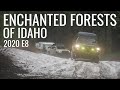 Enchanted Forests of Idaho - 2020 E8