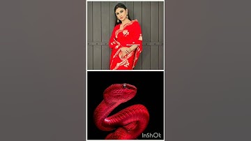 all naagin actress 👗 matching 🐍#shorts #video #viral#youtubeshorts #trending #naagin
