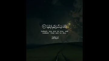 سورة الزمر  | الشيخ ياسر الدوسري #القرآن_الكريم