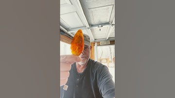 Keep Baby Chicks Warm
