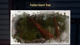 UNDAWN - Fallen Giant Tree Treasure Map & Dig Location