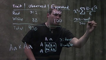 Genetics: Chi-squared Test