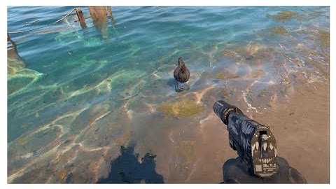 Watch This CS2 Video To Save The Chicken...