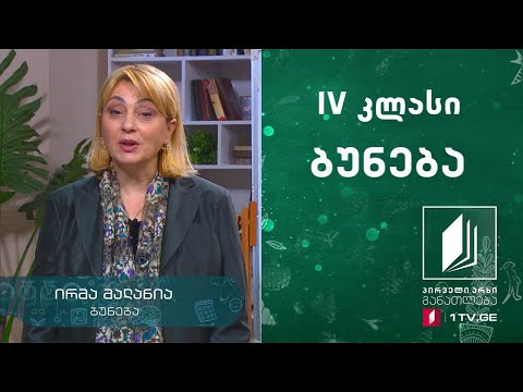 ბუნება, IV კლასი - მწერების სამსაფეხურიანი და ოთხსაფეხურიანი სასიცოცხლო ციკლი #ტელესკოლა