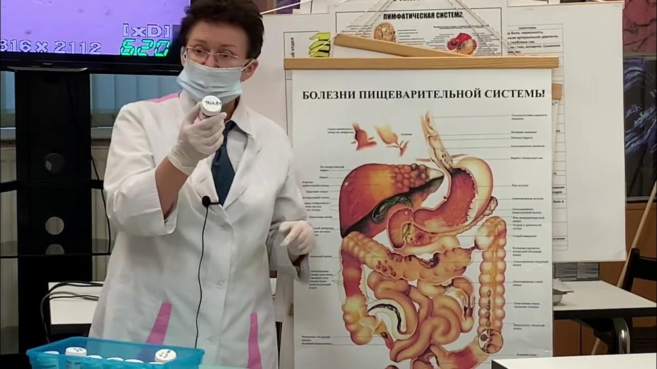 Правила применения ректальных суппозиторий. - YouTube