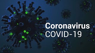 Анатомия коронавируса SARS-CoV-2