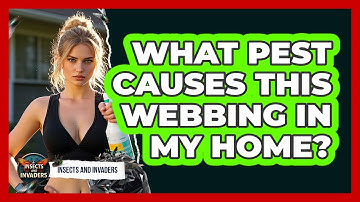 What Pest Causes This Webbing In My Home? - Insects and Invaders