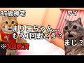 【87歳長老part②】熱海旅行でひたすら越智した話＃猫マニ＃猫ミーム