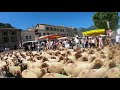 fête de la transhumance de Castellane