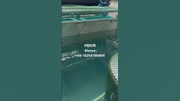 Poultry hex Netting, Plastic Temporary Barrier Chicken Protection mesh machine #machine #plasticnet