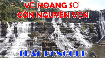 ✈️【𝗧𝗛𝗔𝗖 𝗣𝗢𝗡𝗚𝗢𝗨𝗥】Vẻ đẹp HOANG SƠ còn nguyên vẹn tại Thác Pongour ĐÀ LẠT
