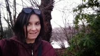 Der Fredenbaumpark Und Seine Tierwelt Im Januar 2021