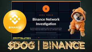 #Binance Network Investigation Report (Part 1) - $DOG (Bitcoin) Top 1000 Wallets 📊