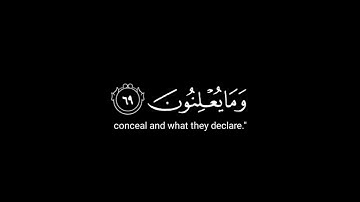 كروما شاشه سوداء القرآن الكريم 🥀| تلاوة من القصص  | القارئ مشاري بن راشد العفاسي ✨
