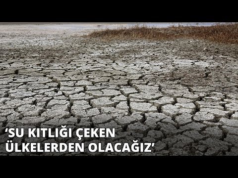 Video: Kültür: şimdi çölleşme Olmadan