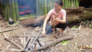 Build a shelter in a thousand year old rotten log, Bushcraft in the middle of the green forest