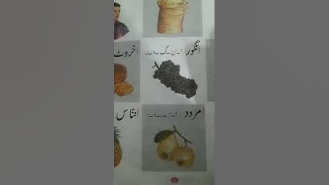 Prep class urdu reading book