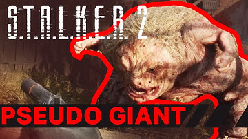 STALKER 2 PSEUDO GIANT Guide!