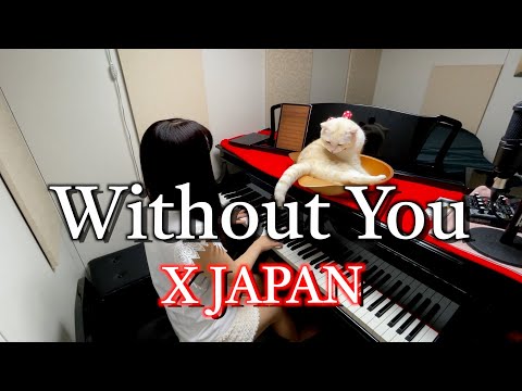 感動の1曲♪【Without You】XJAPAN/ぷりんと楽譜 ピアノソロ(中級)歌詞付き #弾いてみた #猫とピアノ