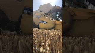 Newholland combine harvester #farming #combine #summer