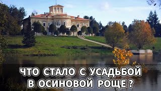 Окно в прошлое. Усадьба в Осиновой роще в Петербурге | Текстуры времени
