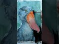 Shoebill storks are just so cooool - watercolor and gouache painting