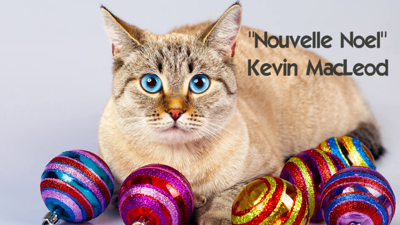 Image Result For Kevin Macleod Royalty Free Christmas Music Image Result For Kevin Macleod Royalty Free Christmas Music