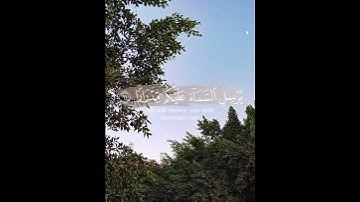 سورة نوح من الآية ١٠ إلى الآية ١٢ بصوت الشيخ سعد الغامدي ❀