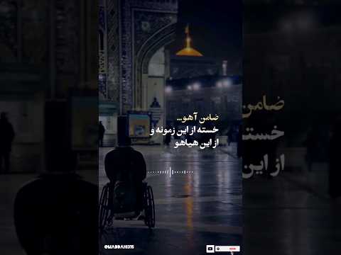 ضامن آهو خسته از این زمونه و از این هیاهو ضامن آهو یا امام رضا امام رضا مشهد مشهد الرضا