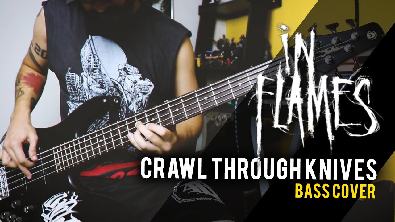Crawled through. Crawled through