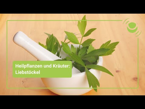 Video: Belozor-Sumpf - Heilwirkung Und Verwendung Von Belozor-Sumpf. Rezepte Für Die Verwendung Von Belozor