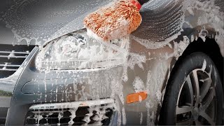 Weathertech Techcare Gentle Car Shampoo Up-Close Look