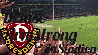 Dynamo Dresden gegen 1. FC Köln Torjubel bei SGD 21.04.2019